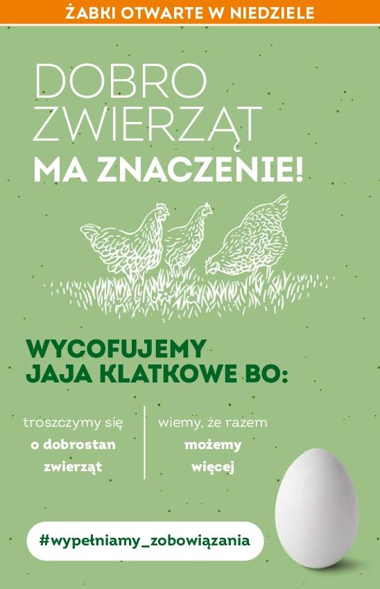 Gazetka promocyjna Żabka str. 50