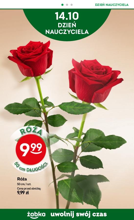 Gazetka promocyjna Żabka str. 34